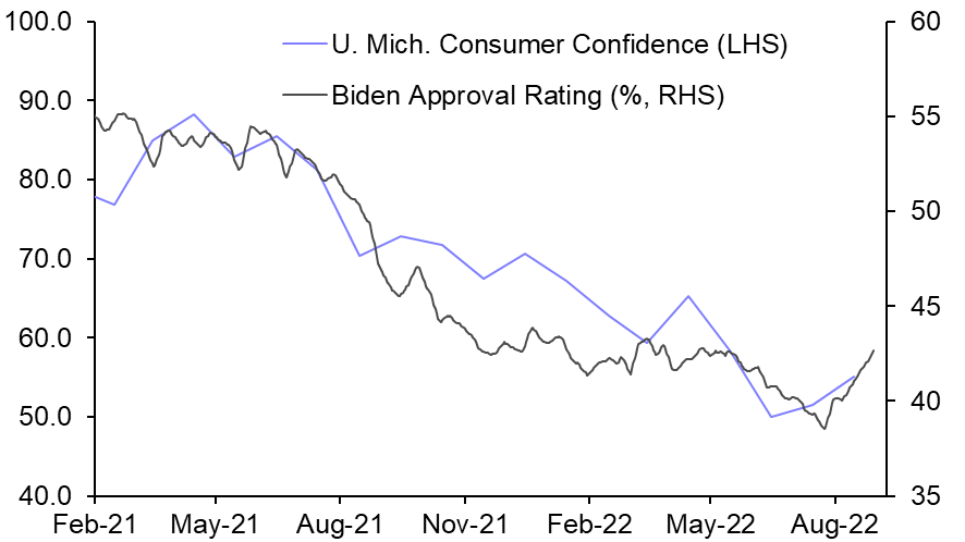 How will the midterms affect the economic outlook?

