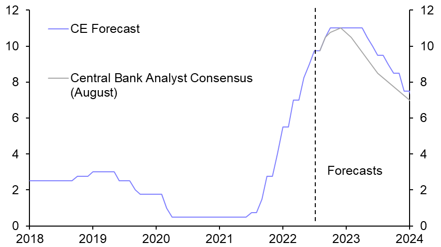 Brazil’s consumer boom, Chile’s referendum 
