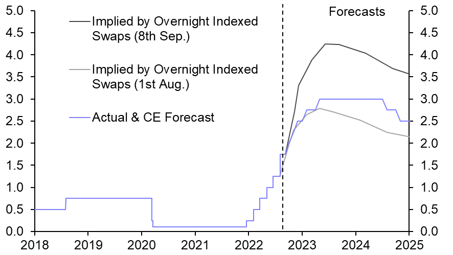 Fiscal package will not prevent house price falls
