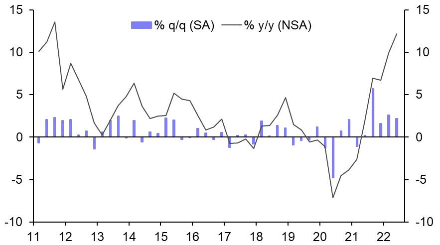 Egypt: the pound, central bank, and the IMF
