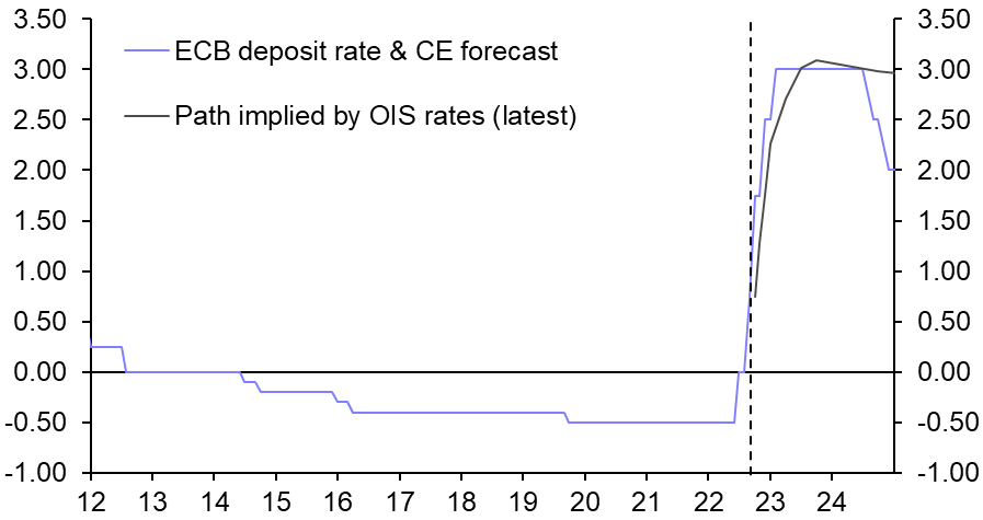 ECB hawks dominate, French strikes fuel pay pressure 
