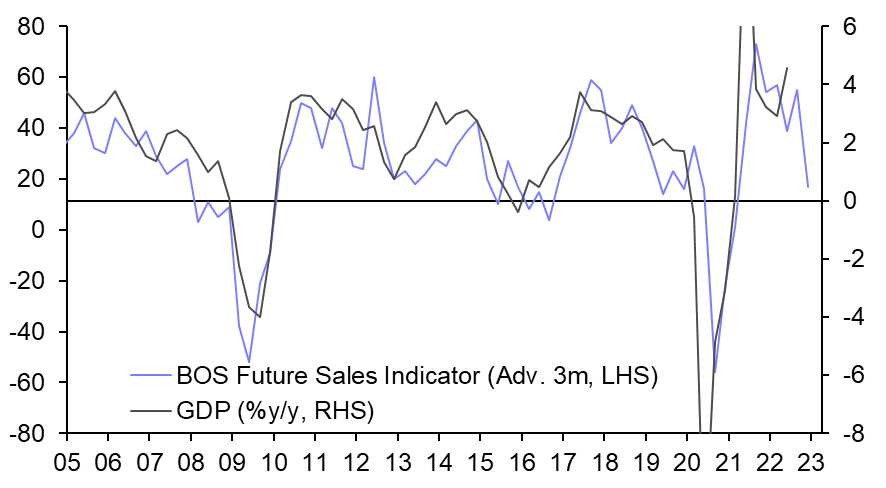 Business Outlook &amp; Consumer Expect. Surveys (Q3)
