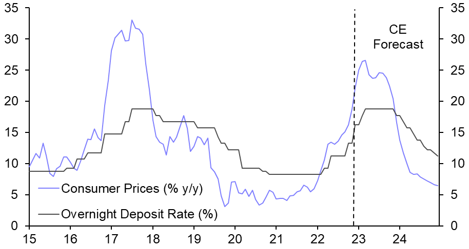 Fears EGP fall will trigger sovereign debt crisis overdone 
