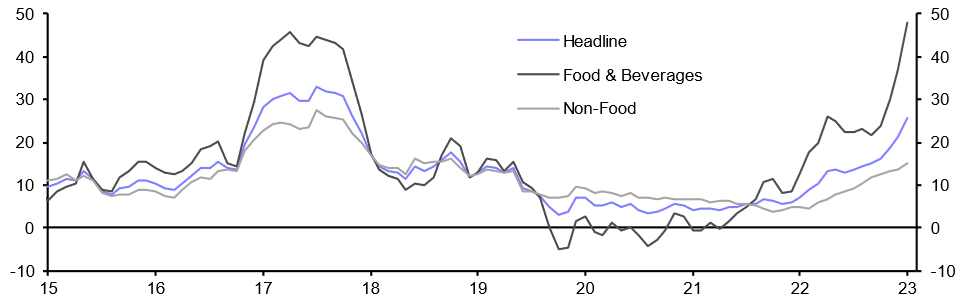 Egypt Consumer Prices (Jan. 2023)
