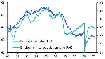 US Employment Report (May 2025)
