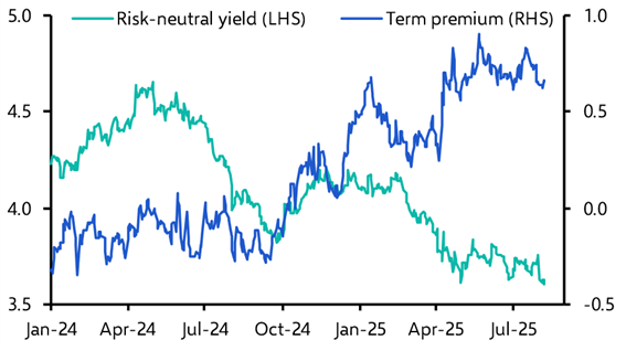 The causes and consequences of waning demand for very long-dated bonds
