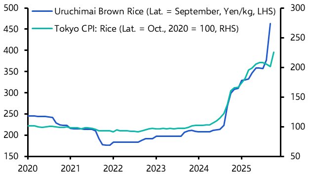 Better rice harvest won’t result in price plunge
