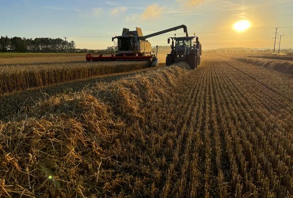 Agriculture
