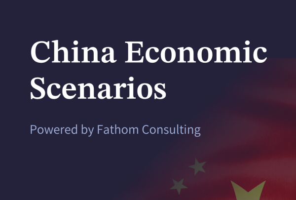 China Economic Scenarios