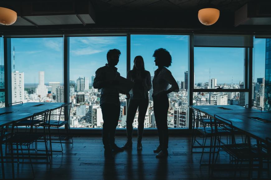 Colleagues in Office