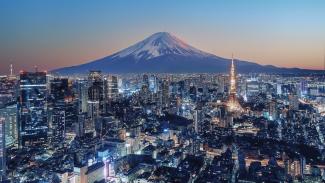 Tokyo city with mountain