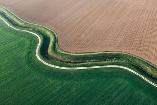 Field with upward curve