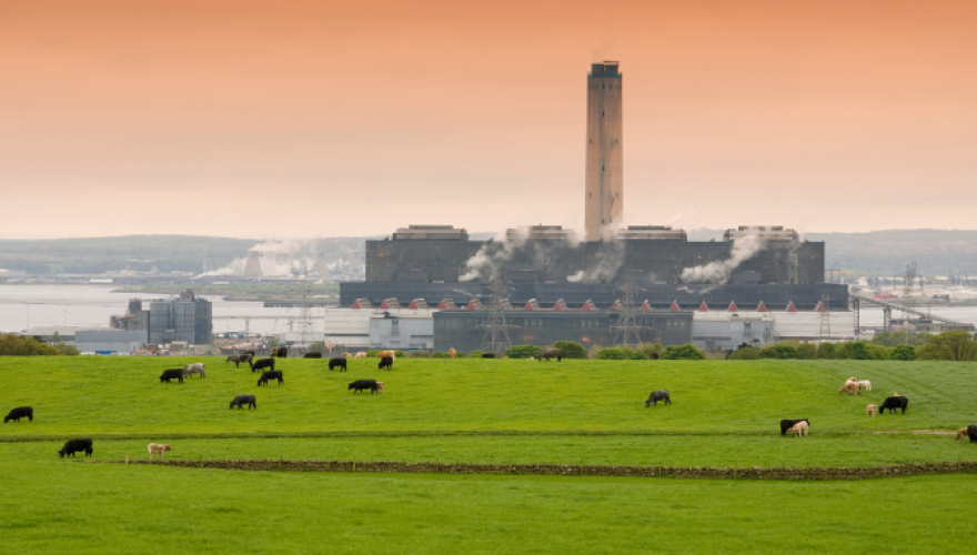 Renewable costs: what goes up must go down? 
