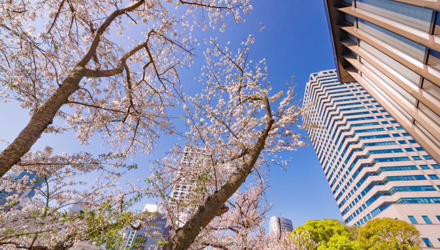 APAC Commercial Property Valuation Monitor (Q1 2026)
